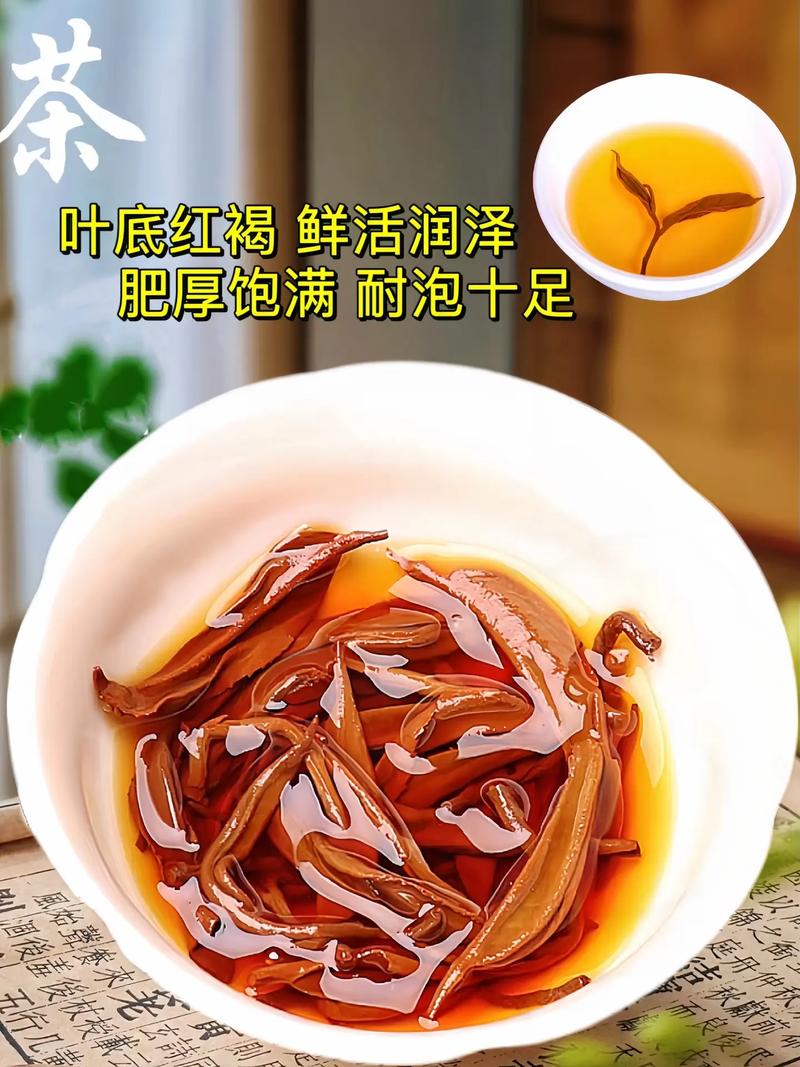 英红九号 一缕醉人的茶香传奇