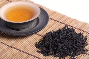 福鼎小种红茶怎么加盟的 小叶福鼎茶苗
