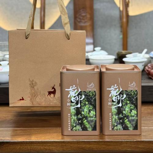 茶香满人间 从乌龙到普洱，品味中华茗茶的精髓